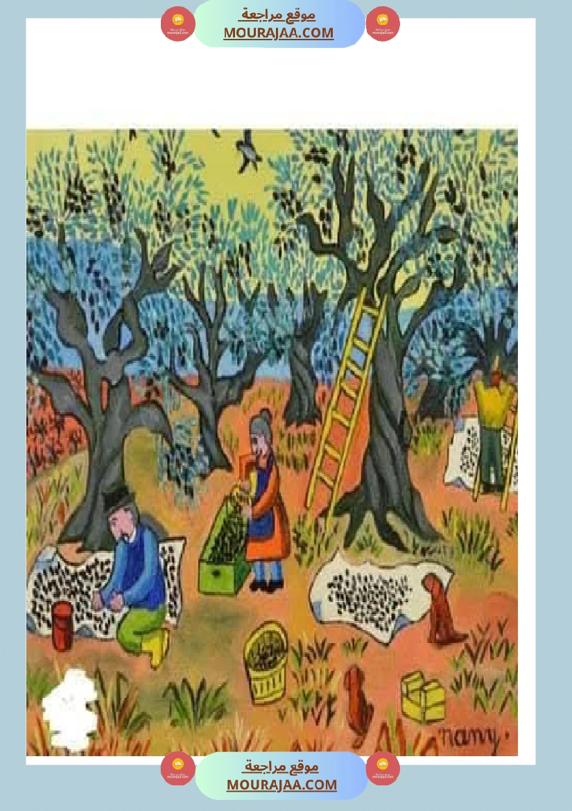 إنتاح كتابي حول جني الزيتون سنة الرابعة صفحة 7