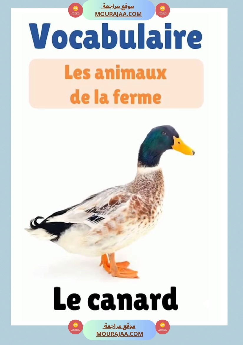 des animaux j apprends le francais 4eme صفحة 11