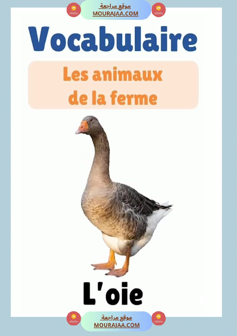 des animaux j apprends le francais 4eme صفحة 12