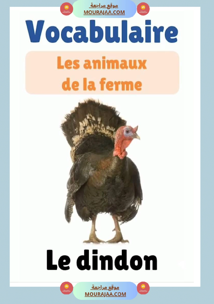 des animaux j apprends le francais 4eme صفحة 13