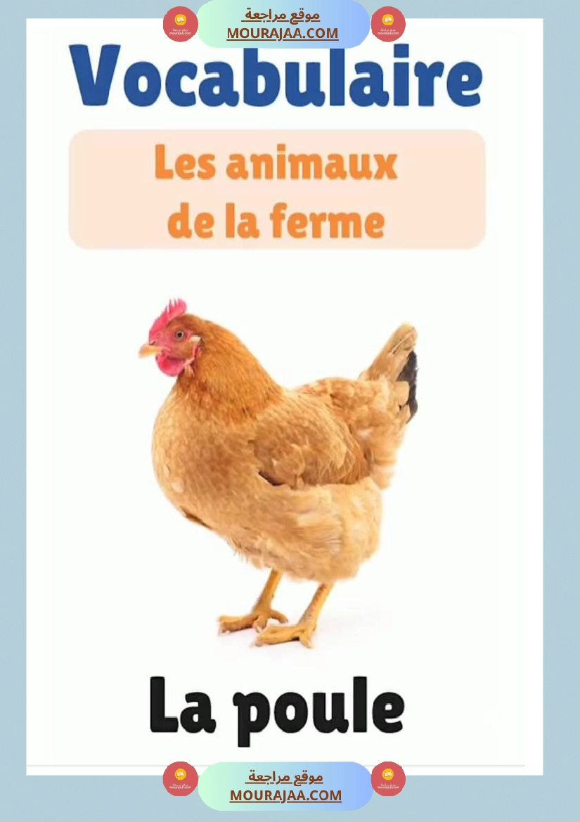 des animaux j apprends le francais 4eme صفحة 14