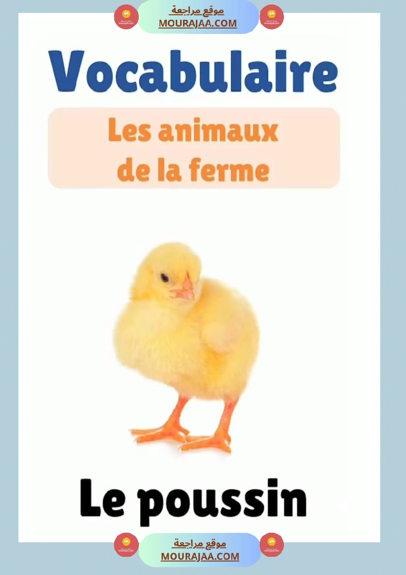 des animaux j apprends le francais 4eme صفحة 4