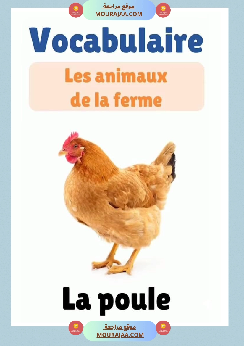des animaux j apprends le francais 4eme صفحة 8