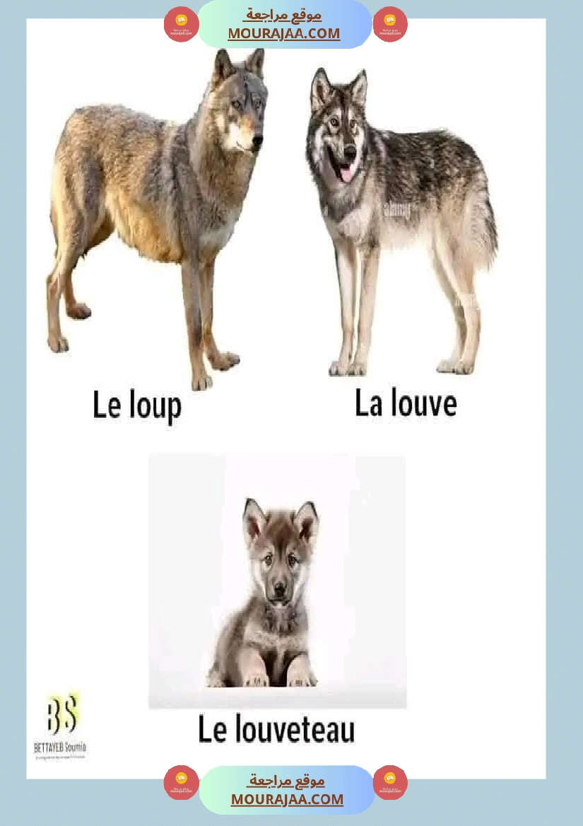 quelques familles d animaux 4eme صفحة 5