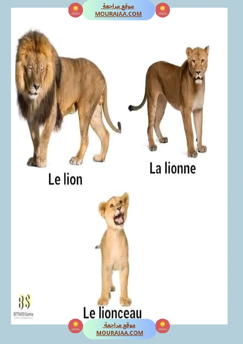 quelques familles d animaux 4eme صفحة 7