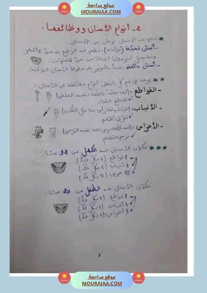 مراجعة شاملة ايقاظ علمي سنة الرابعة الثلاثي الثاني صفحة 11