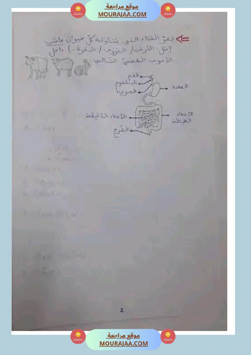 مراجعة شاملة ايقاظ علمي سنة الرابعة الثلاثي الثاني صفحة 18