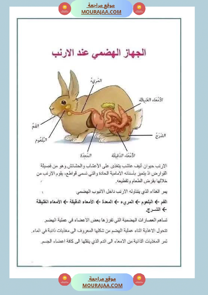 مراجعة شاملة ايقاظ علمي سنة الرابعة الثلاثي الثاني صفحة 19