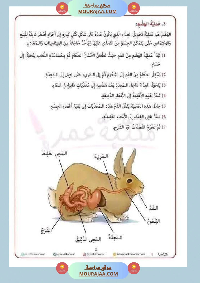 مراجعة شاملة ايقاظ علمي سنة الرابعة الثلاثي الثاني صفحة 3