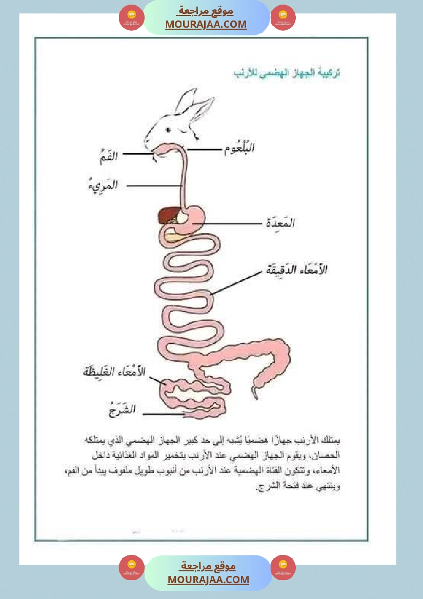 مراجعة شاملة ايقاظ علمي سنة الرابعة الثلاثي الثاني صفحة 26