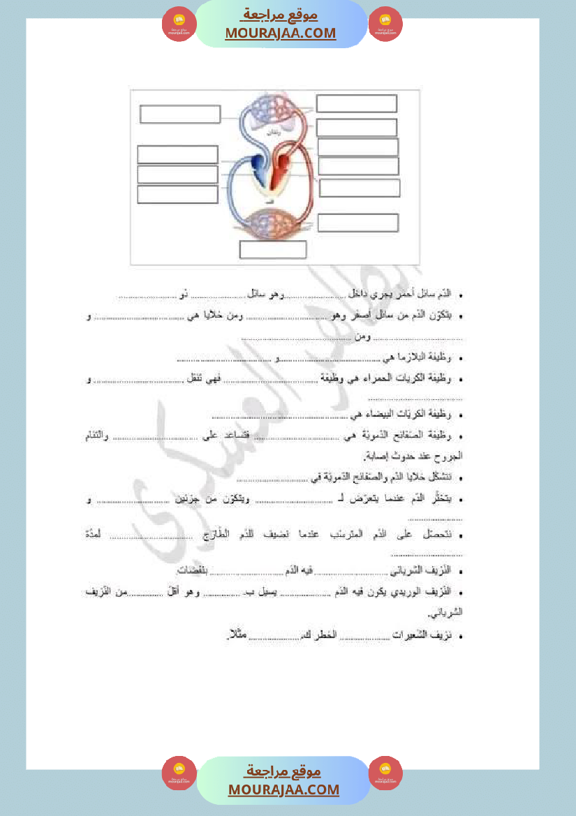 سنة سادسة ابتدائي ايقاظ علمي جهاز دوران الدم