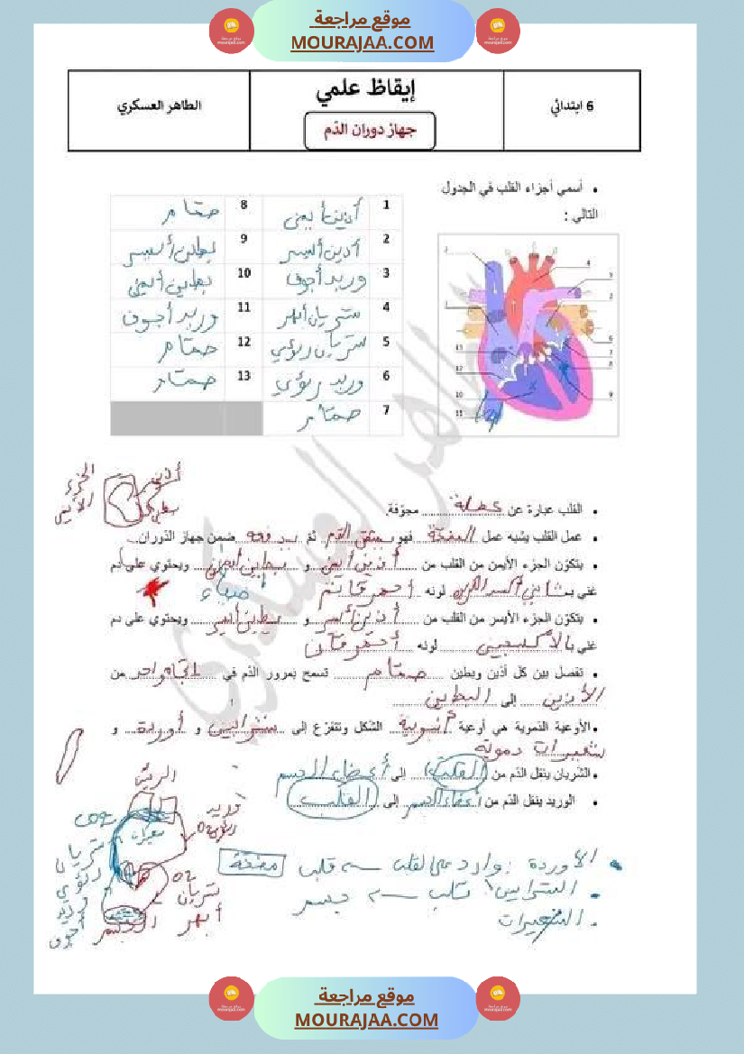 سنة سادسة ابتدائي ايقاظ علمي جهاز دوران الدم
