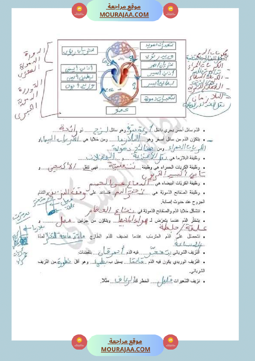 سنة سادسة ابتدائي ايقاظ علمي جهاز دوران الدم