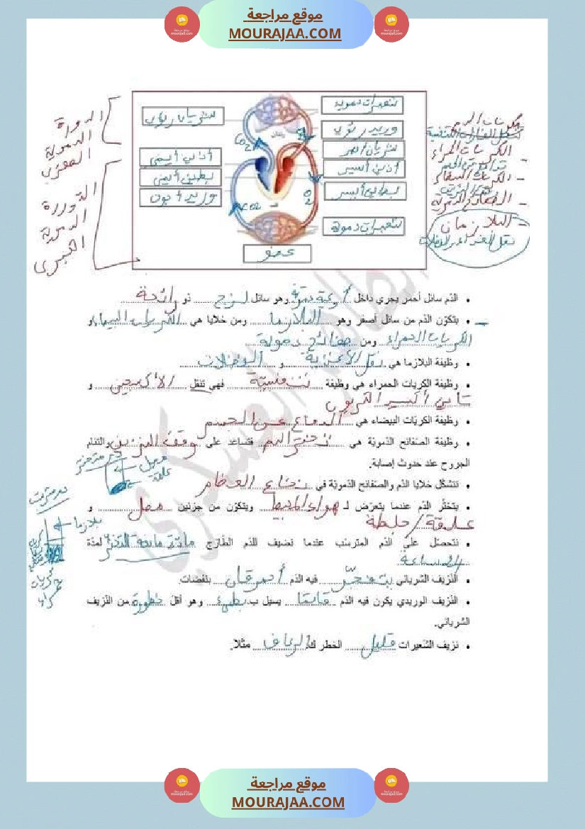 سنة سادسة ابتدائي ايقاظ علمي جهاز دوران الدم صفحة 6