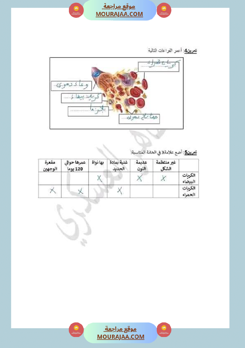 سنة سادسة ابتدائي ايقاظ علمي جهاز دوران الدم