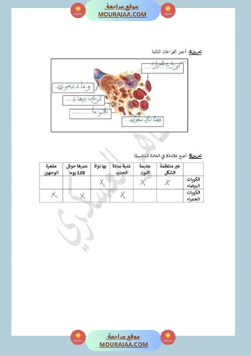 سنة سادسة ابتدائي ايقاظ علمي جهاز دوران الدم صفحة 8