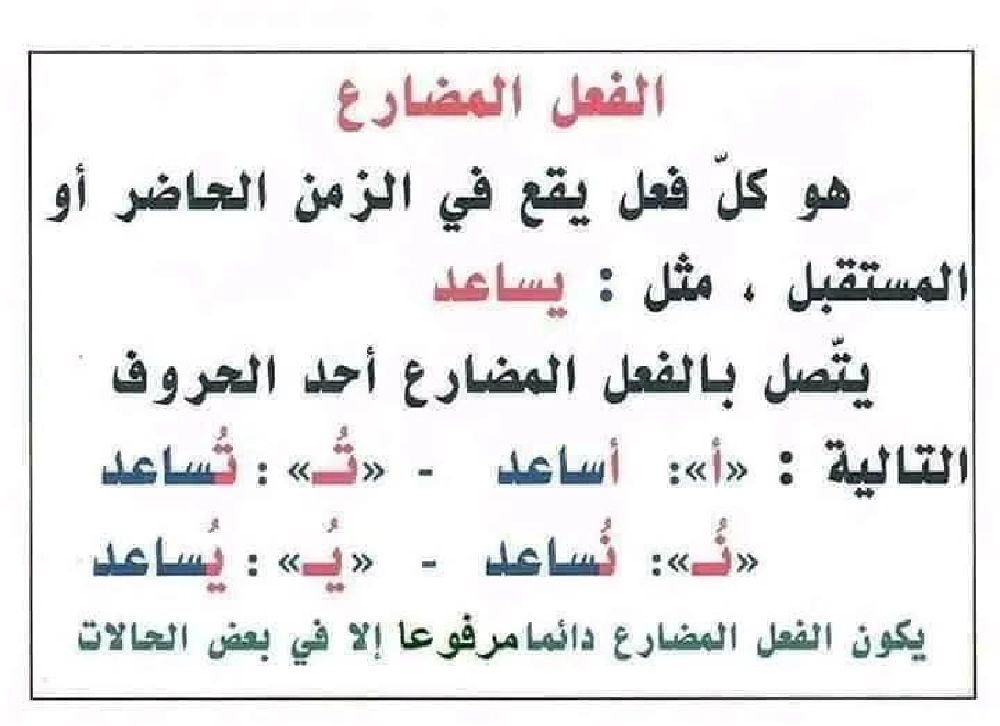 جداريات متفرقات من كل بستان زهرة سنة الثالثة صفحة 2