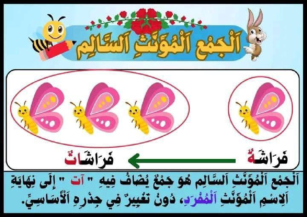 جداريات متفرقات من كل بستان زهرة سنة الثالثة صفحة 14