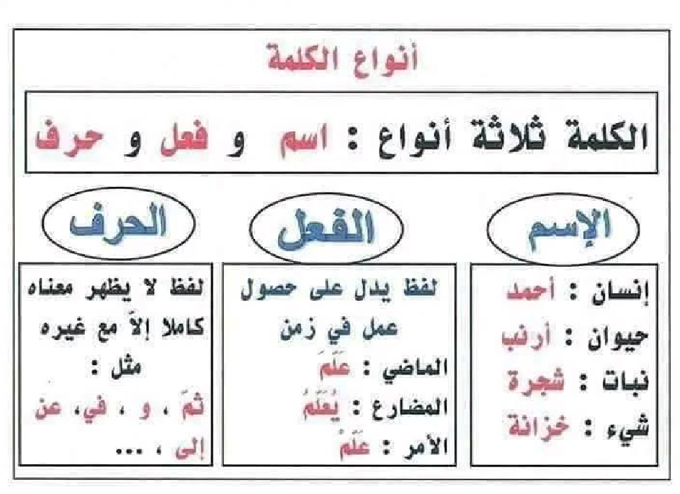 جداريات متفرقات من كل بستان زهرة سنة الثالثة صفحة 9