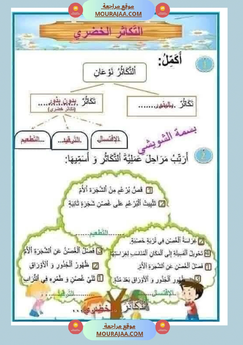 إيقاظ علمي سنة رابعة ثلاثي الثالث  صفحة 13