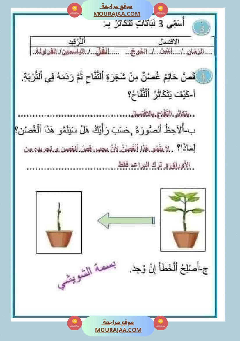 إيقاظ علمي سنة رابعة ثلاثي الثالث  صفحة 10