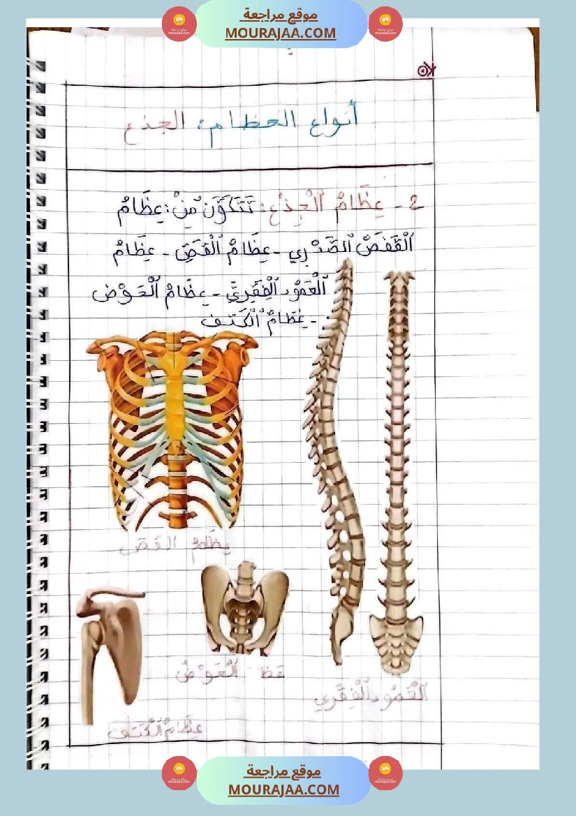 ايقاظ علمي الثلاثي الاول سنة خامسة صفحة 20