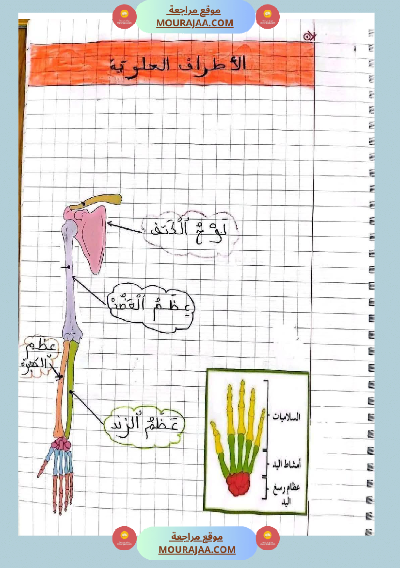 ايقاظ علمي الثلاثي الاول سنة خامسة