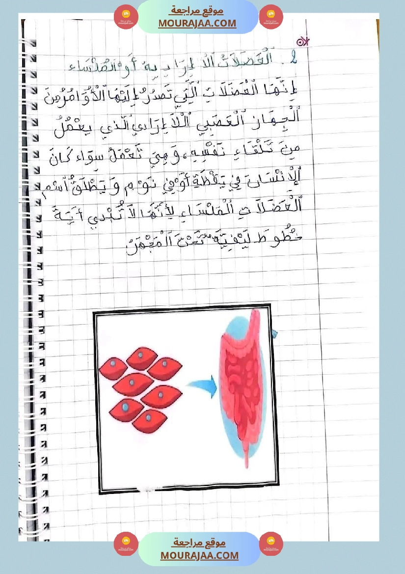 ايقاظ علمي الثلاثي الاول سنة خامسة صفحة 7