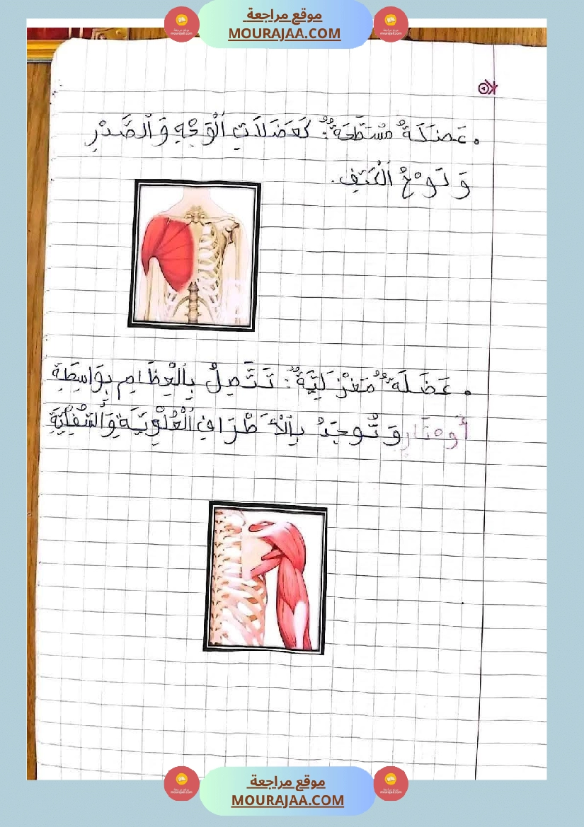 ايقاظ علمي الثلاثي الاول سنة خامسة صفحة 8