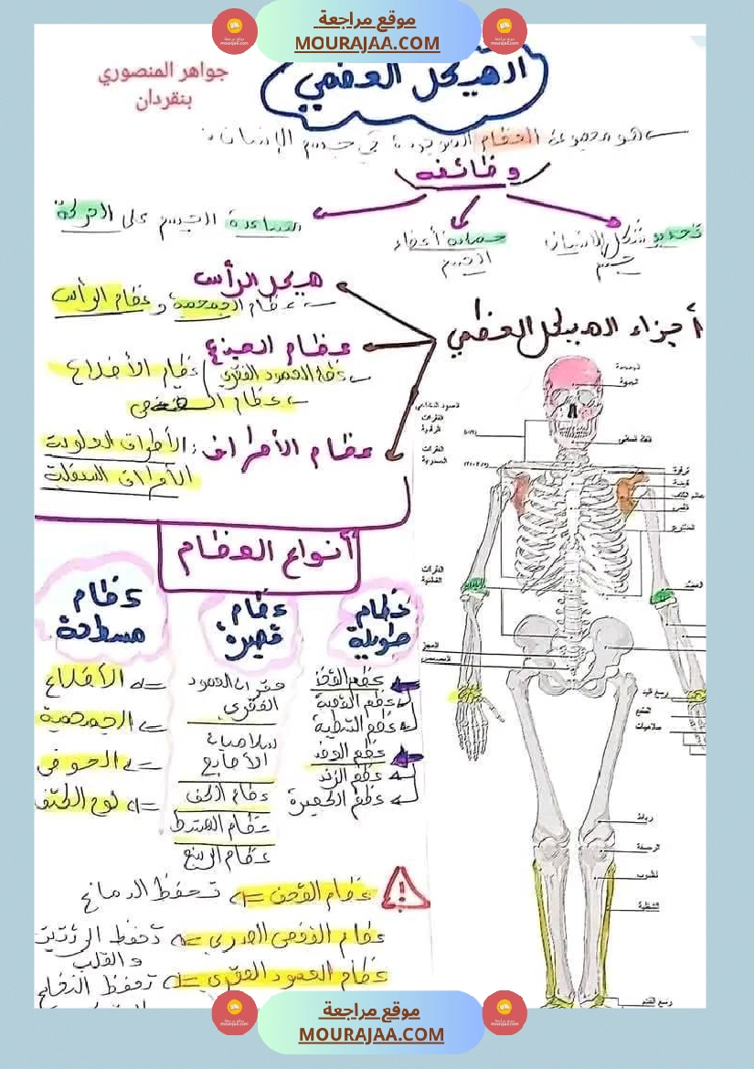 سنة خامسة ايقاظ علمي ثلاثي 1
