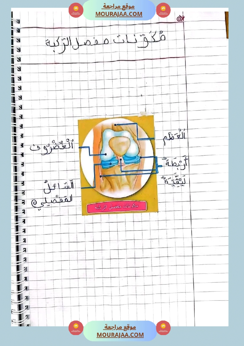 سنة خامسة ايقاظ علمي ثلاثي 1 تلاخيص صفحة 11