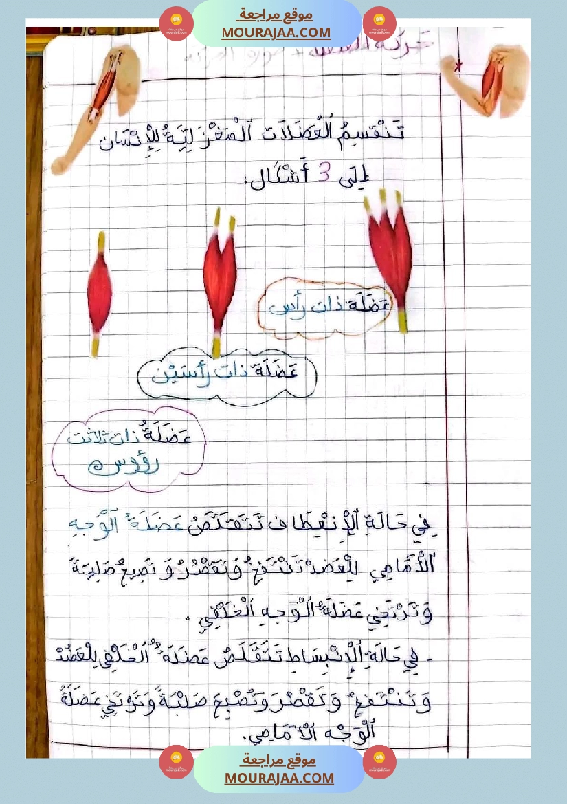 سنة خامسة ايقاظ علمي ثلاثي 1 تلاخيص صفحة 13