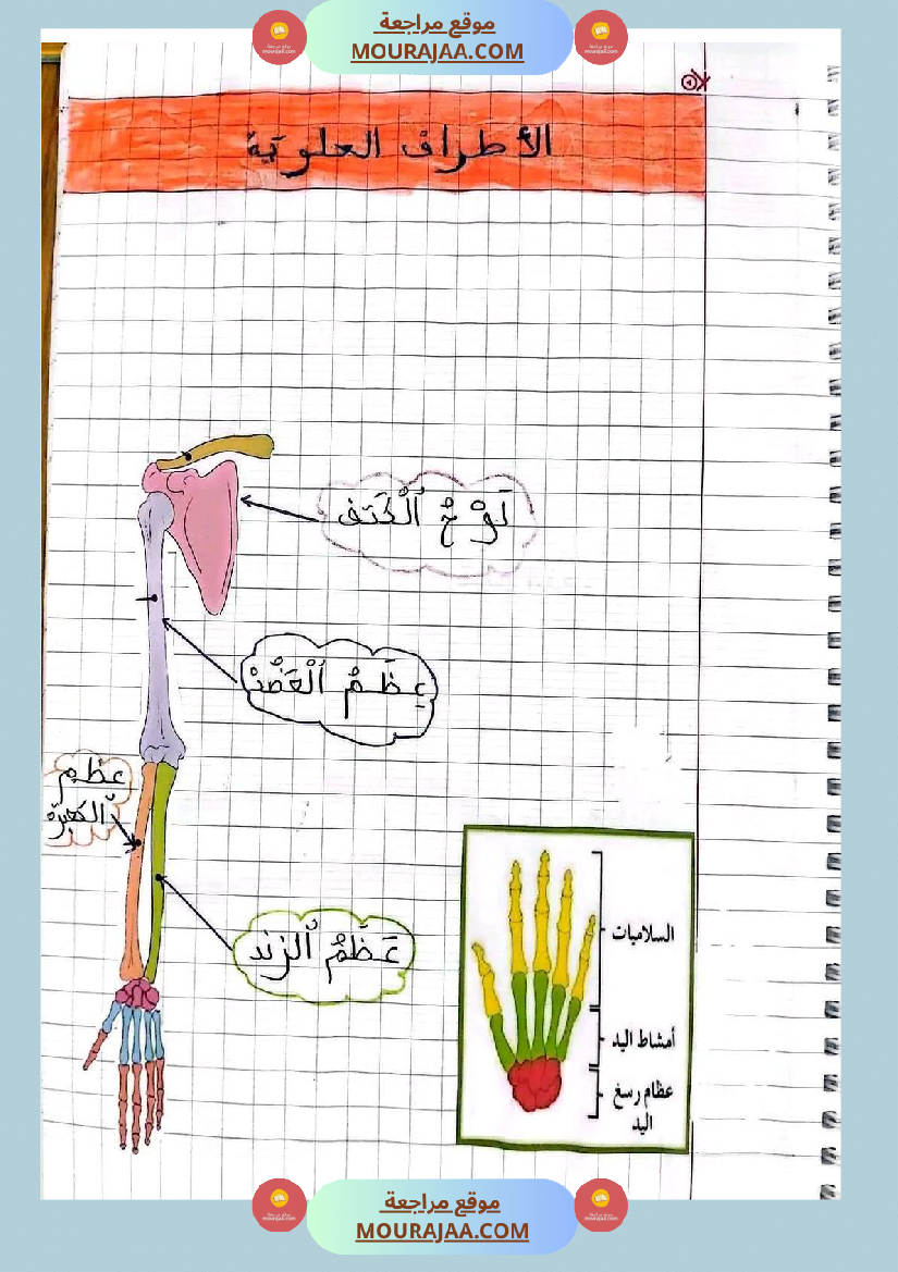 سنة خامسة ايقاظ علمي ثلاثي 1 تلاخيص