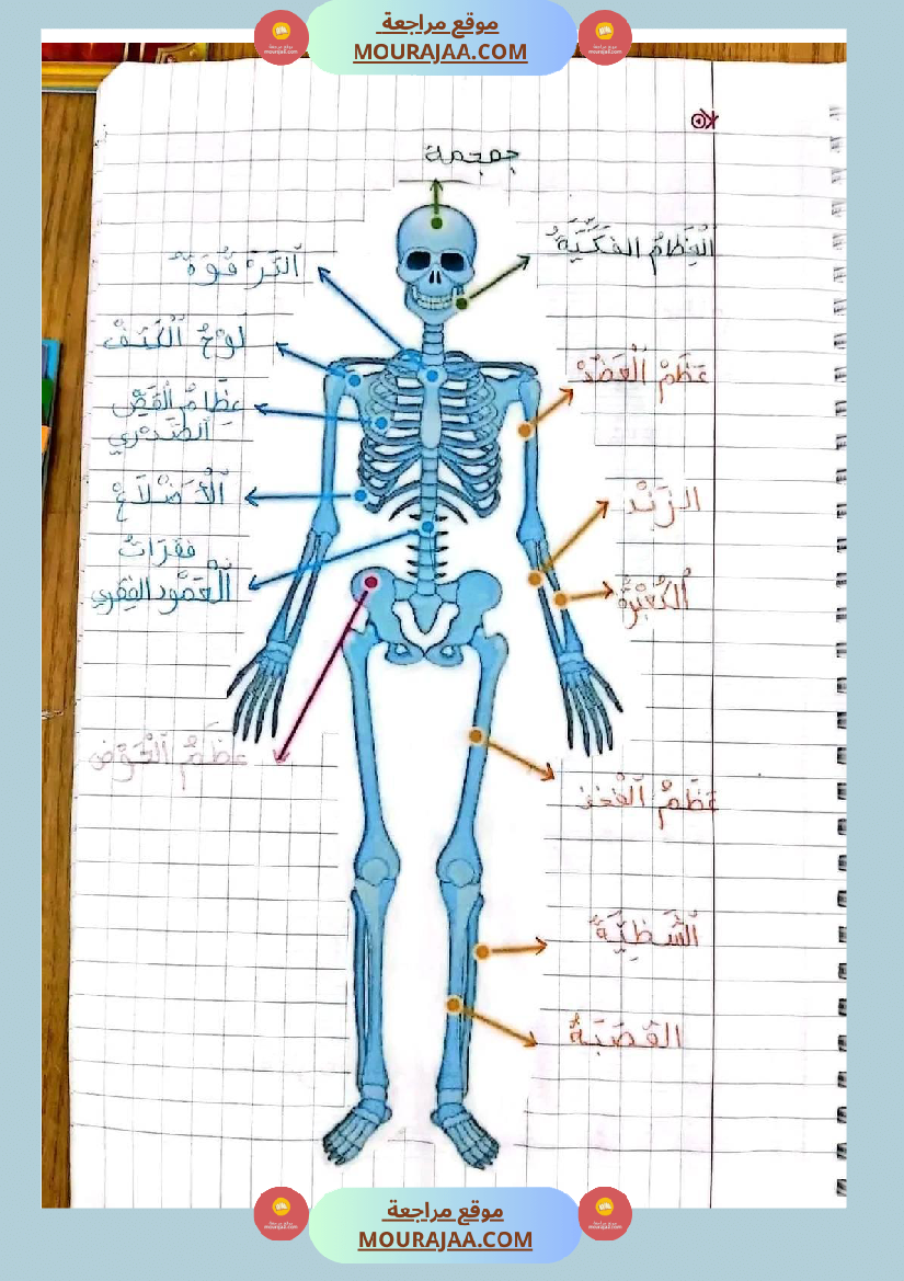 سنة خامسة ايقاظ علمي ثلاثي 1 تلاخيص