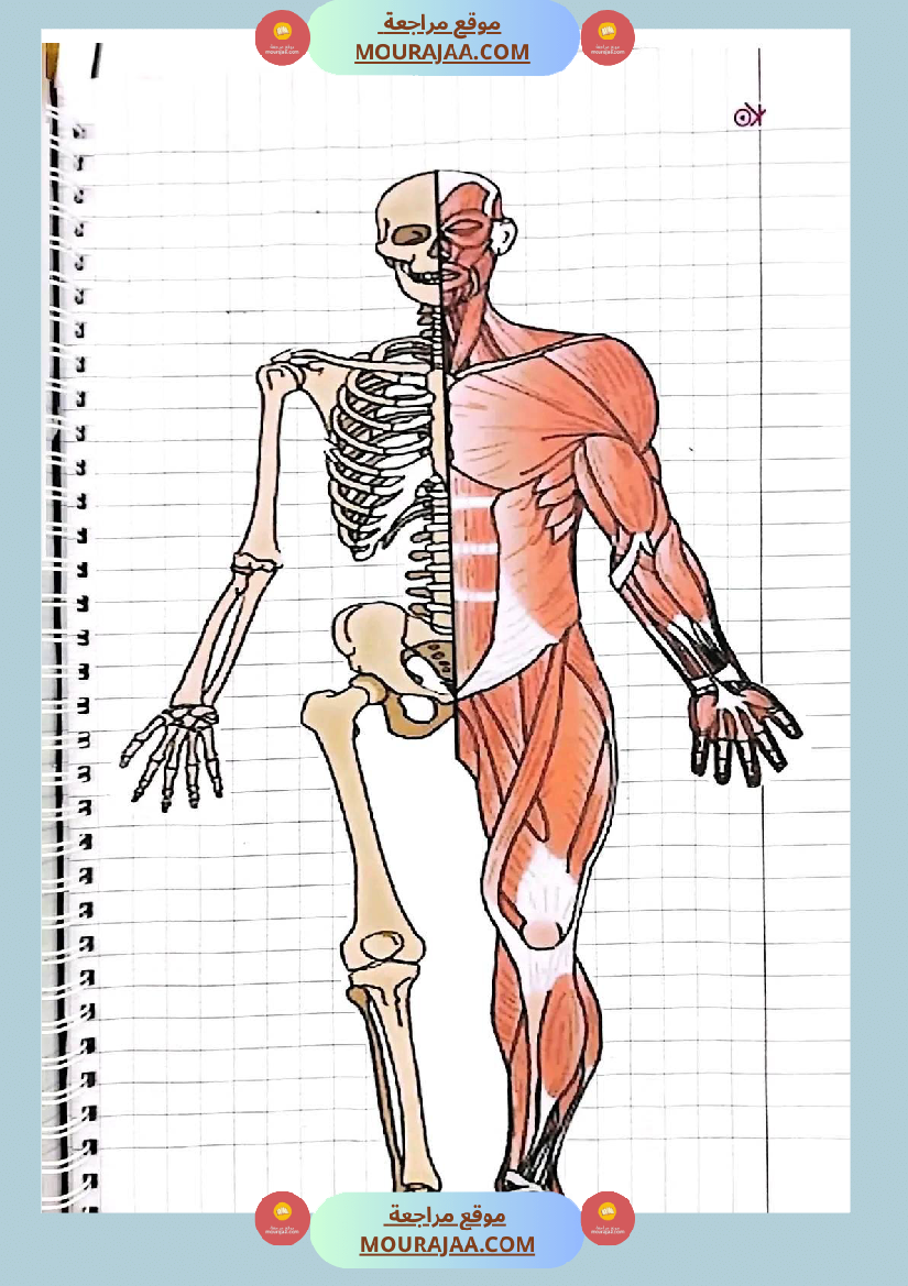 سنة خامسة ايقاظ علمي ثلاثي 1 تلاخيص