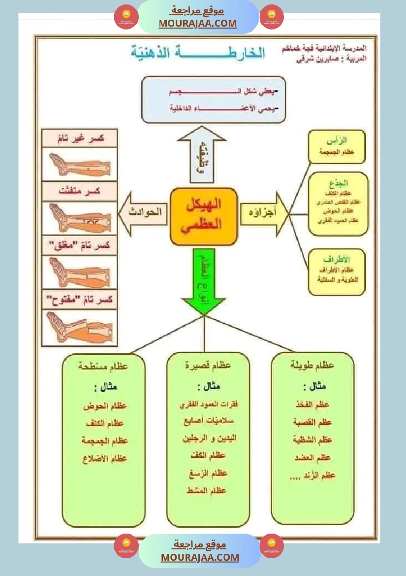 سنة خامسة تلاخيص في مادة الإيقاظ العلمي ثلاثي 1