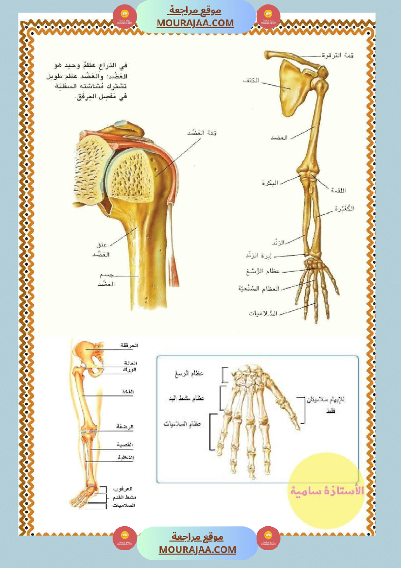 سنة خامسة تلاخيص في مادة الإيقاظ العلمي ثلاثي 1