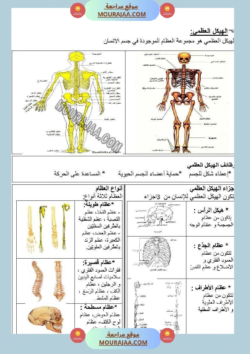 سنة خامسة تلاخيص في مادة الإيقاظ العلمي ثلاثي 1 صفحة 16