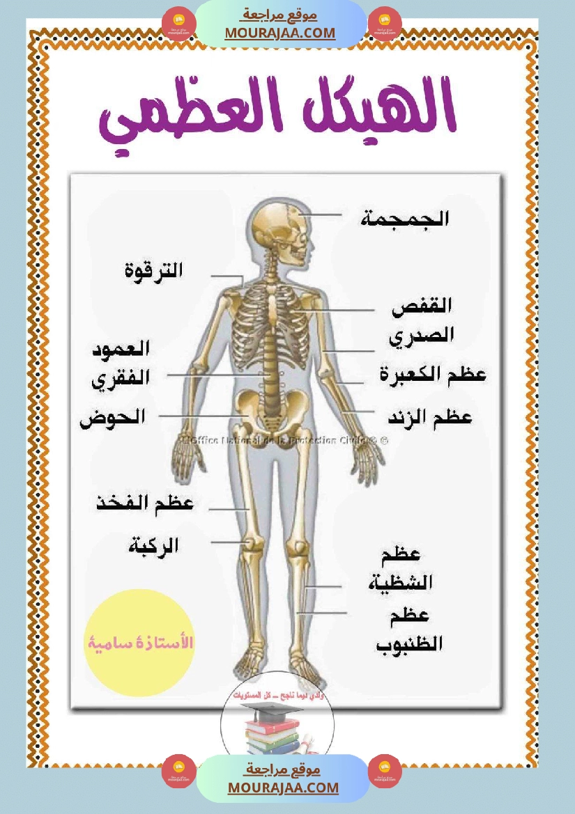 سنة خامسة تلاخيص مفيدة في مادة الإيقاظ العلمي ثلاثي 1 صفحة 15
