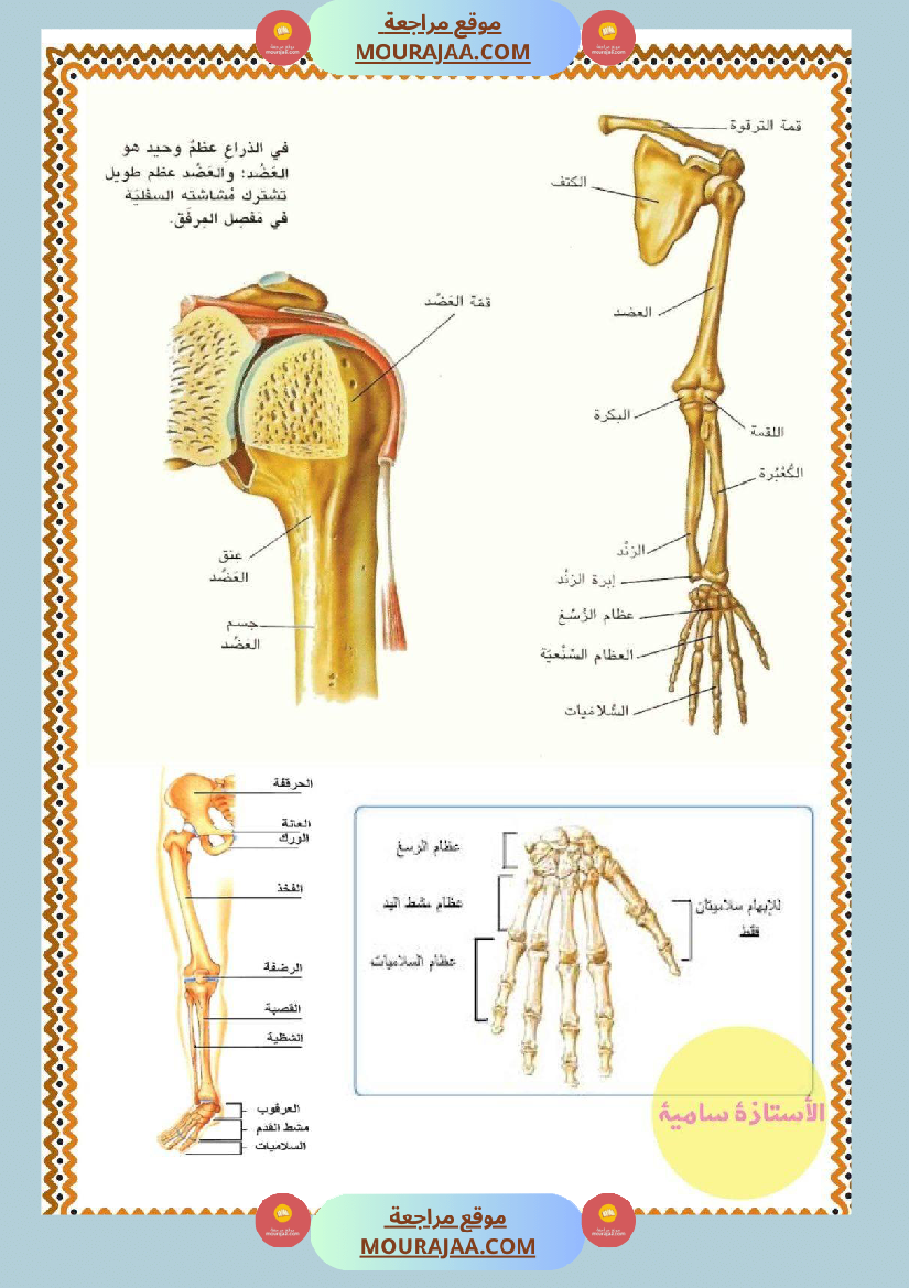 سنة خامسة تلاخيص مفيدة في مادة الإيقاظ العلمي ثلاثي 1