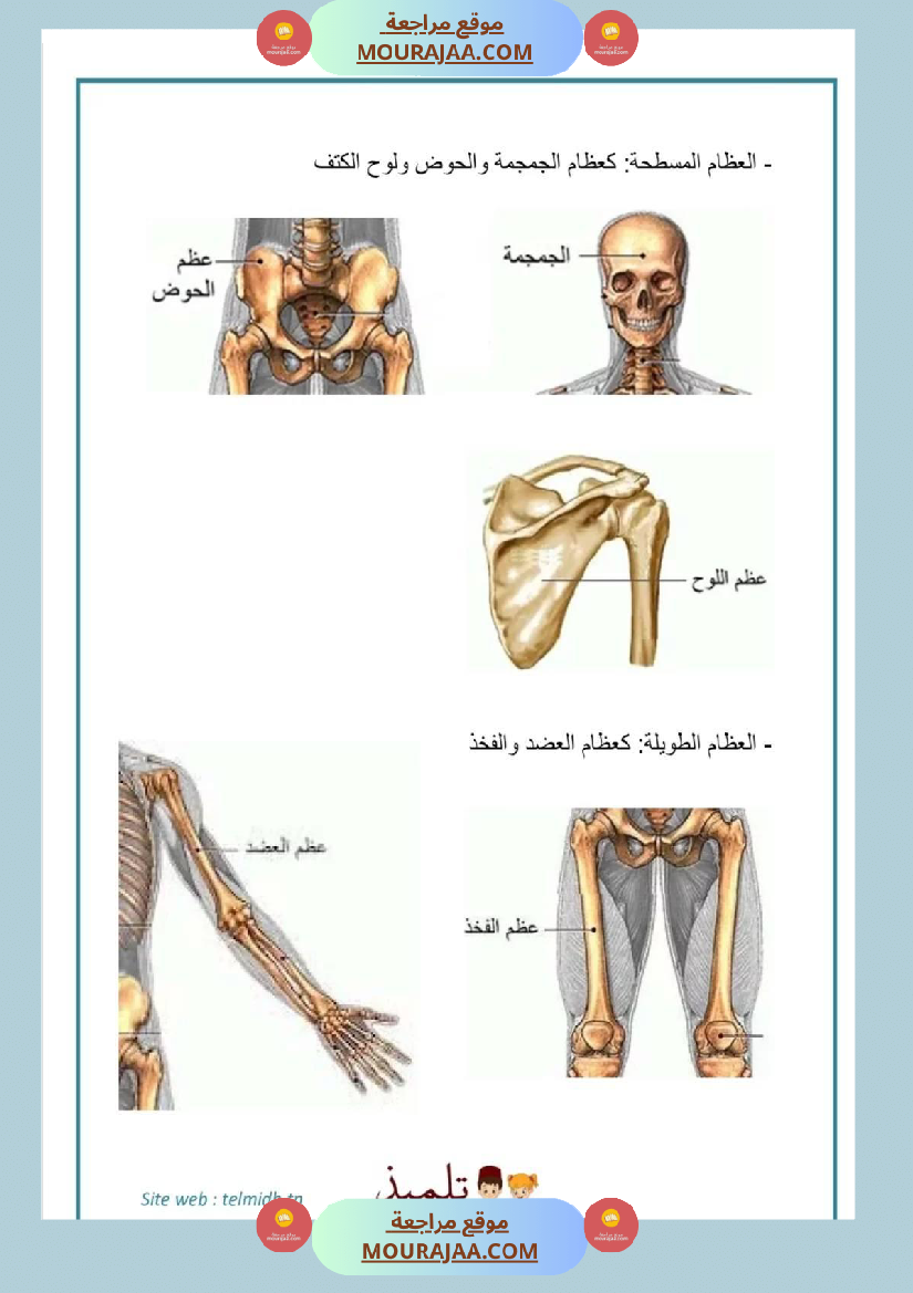 سنة خامسة تلاخيص مفيدة في مادة الإيقاظ العلمي ثلاثي 1
