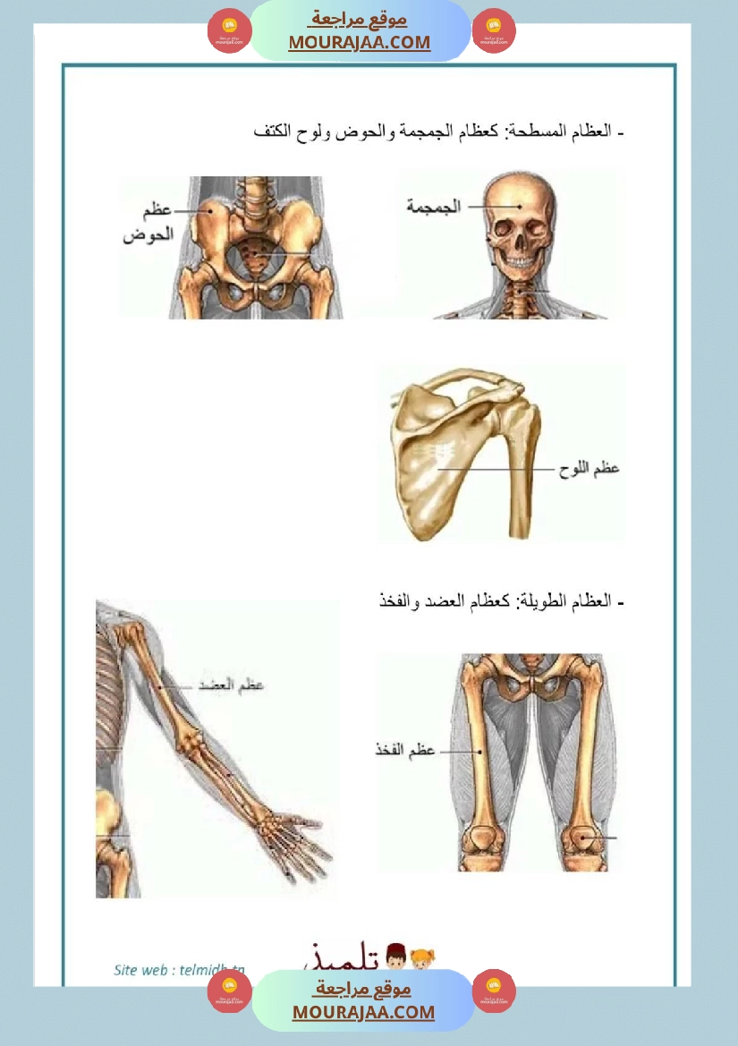 سنة خامسة تلاخيص مفيدة في مادة الإيقاظ العلمي ثلاثي 1 صفحة 5