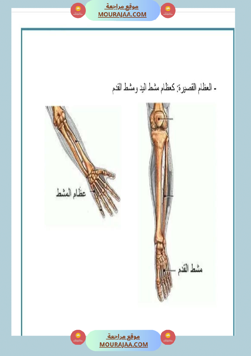 سنة خامسة تلاخيص مفيدة في مادة الإيقاظ العلمي ثلاثي 1