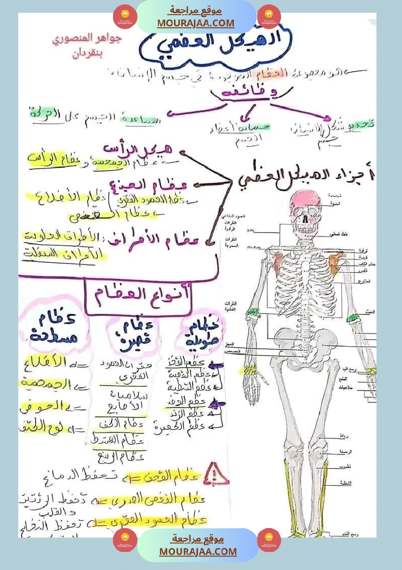 سنة خامسة تلاخيص مفيدة في مادة الإيقاظ العلمي ثلاثي 1