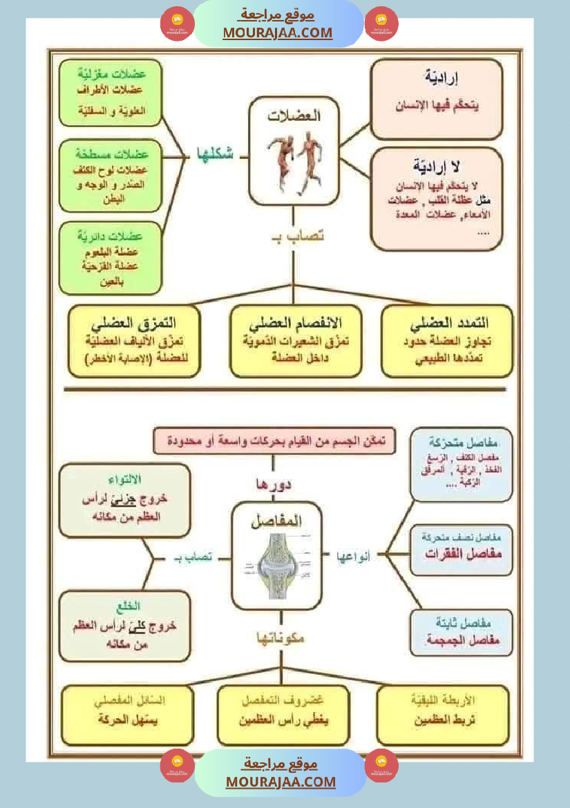 سنة خامسة ملخصات ايقاظ علمي خرائط ذهنية