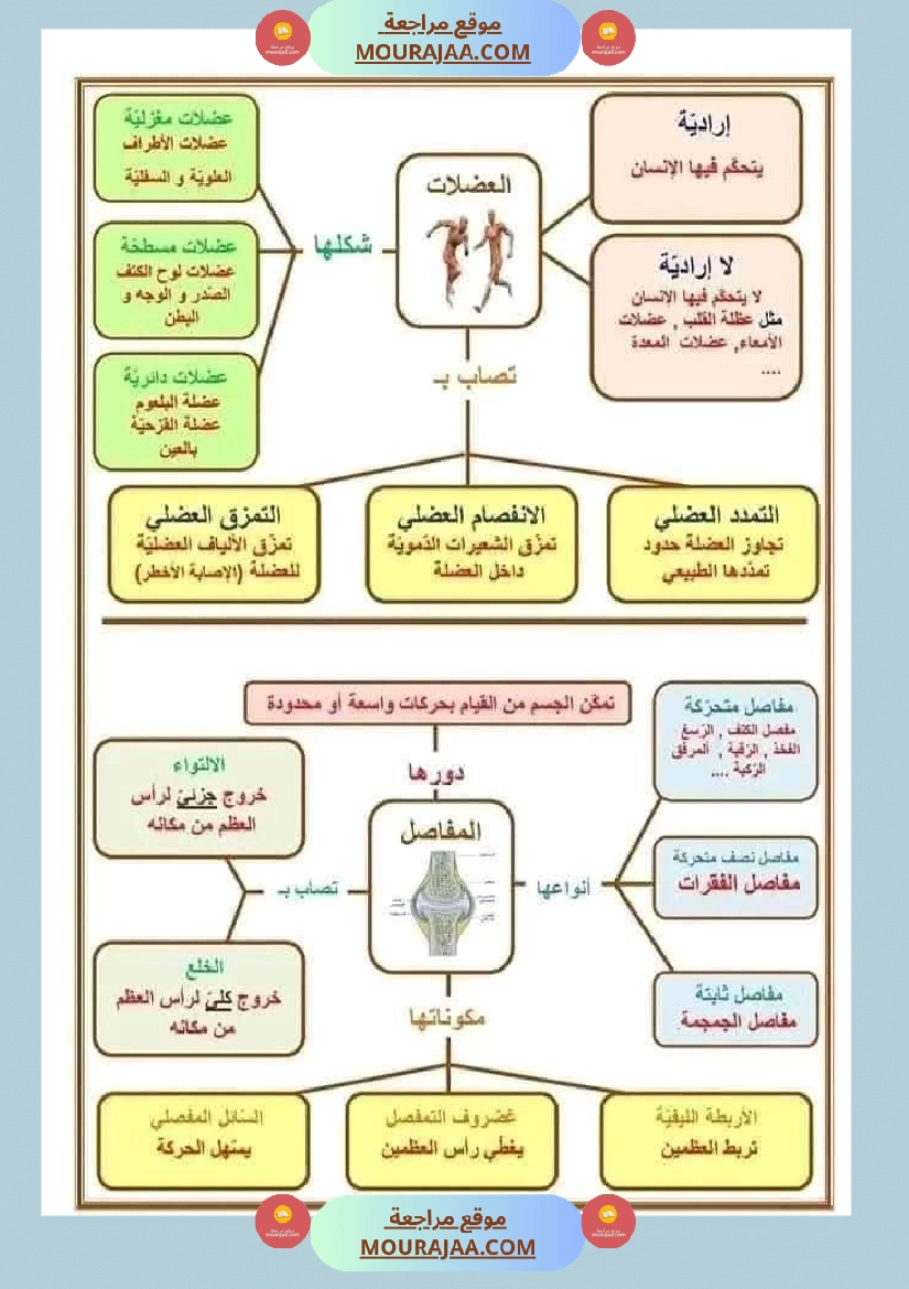 سنة خامسة ملخصات ايقاظ علمي خرائط ذهنية صفحة 2