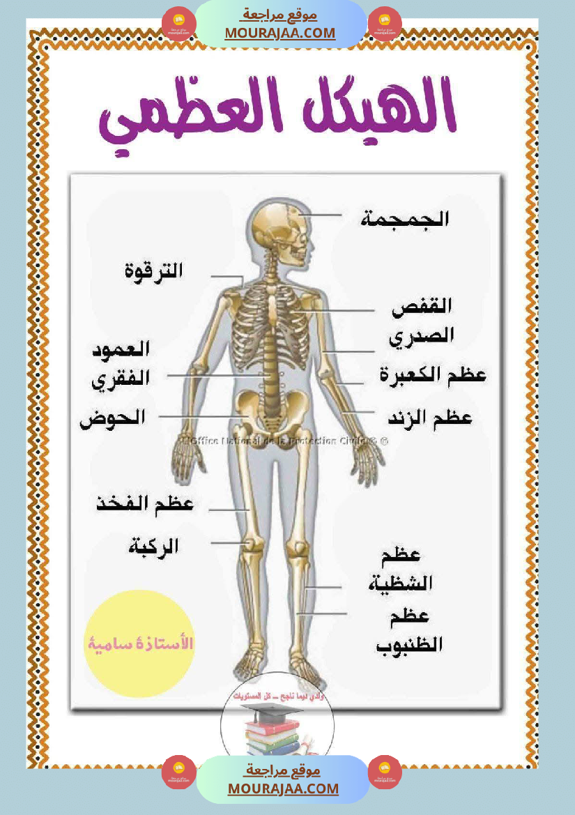 سنة خامسة ملخصات ايقاظ علمي خرائط ذهنية