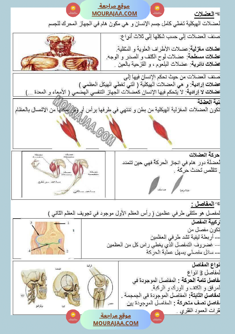 سنة خامسة ملخصات ايقاظ علمي خرائط ذهنية