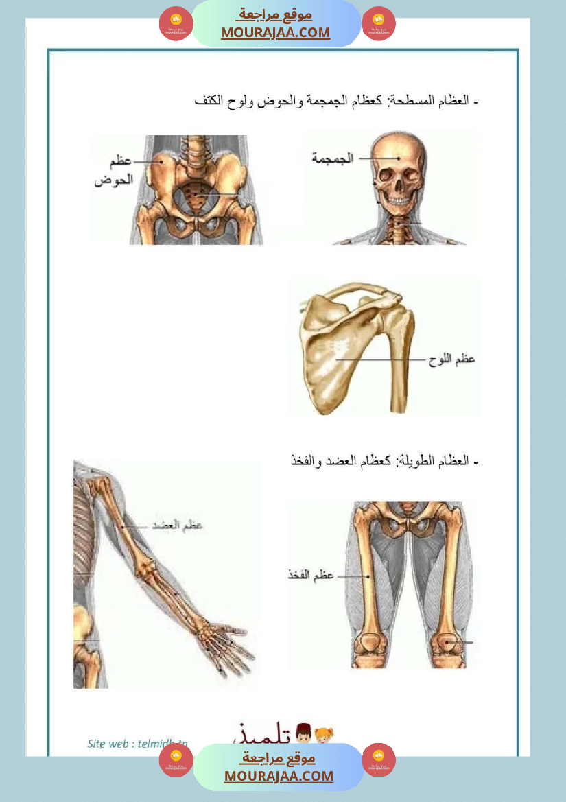 سنة خامسة ملخصات ايقاظ علمي خرائط ذهنية
