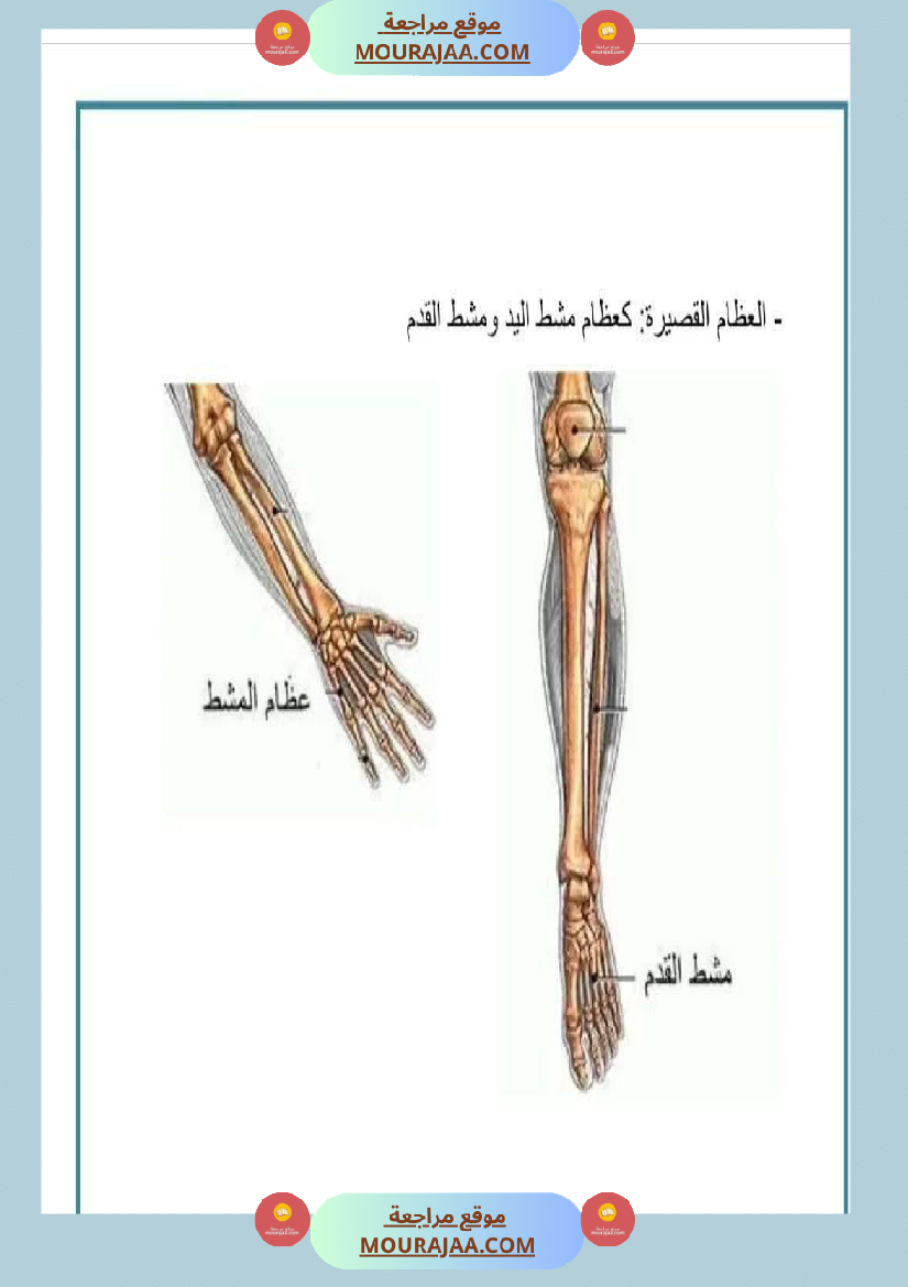 سنة خامسة ملخصات ايقاظ علمي خرائط ذهنية